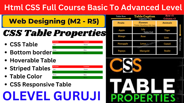 CSS table style with examples