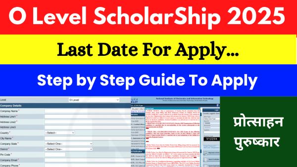 NIELIT O Level Scholarship 2025